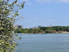 -海珠湖公园