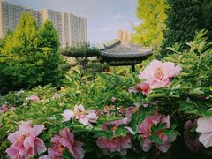 -迎泽公园
