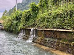 -源泉冷水鱼庄(小鱼洞店)