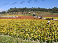 -青峰峡国家森林公园