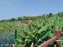 -长兴太湖图影湿地文化园