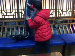 -坛宗剁椒鱼头(河西王府井店)