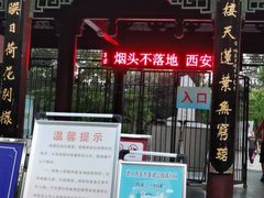 -莲湖公园