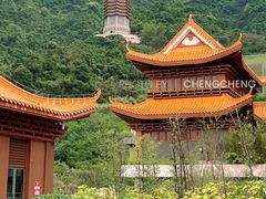 -深圳仙湖植物园