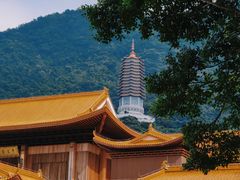 -深圳仙湖植物园