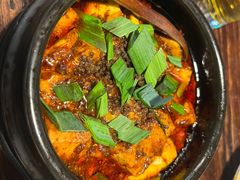 -陈麻婆豆腐(旗舰店)