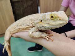-藦茜花园宠物主题亲子互动体验馆(国顺东路店)