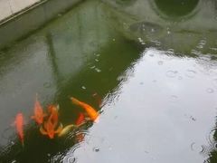 -程十发艺术馆