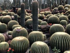 -南通洲际绿博园