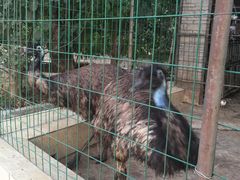 -八景休閒山莊  廣東十大名山莊