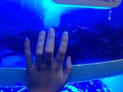 iphone_upload_pic-七欣天香辣蟹火锅(海门解放中路店)