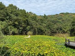 -天目湖山水园