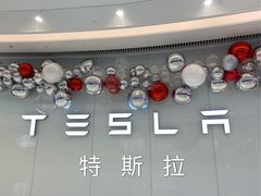 -TESLA 特斯拉(广州天环广场体验店)