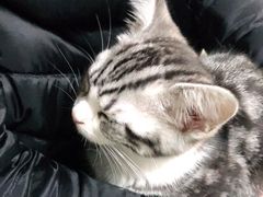 -宠颐生宠物医院外科·内科·皮肤科·影像科(石龙店)