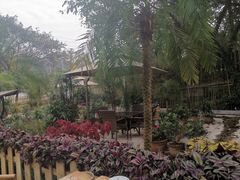 -丫口花园餐厅·融合菜