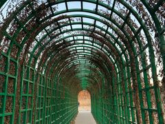 -大兴滨河森林公园