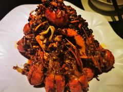 麻辣澳洲小龙虾-虾胡闹·澳洲小龙虾·烧烤(福田鲨鱼店)