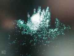 -同济大学四平路校区深海探索馆