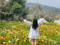 -名花谷生态庄园