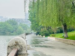 -古琴台