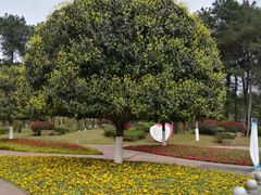 -铁山坪森林公园