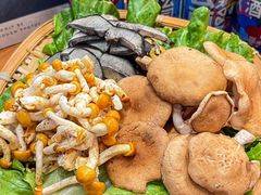 -阿山卓·野生菌火锅·纳西火塘烤肉