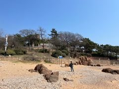 -八大关景区
