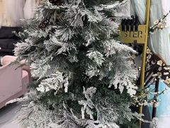 -海马体照相馆(环贸iapm大师爱情店)
