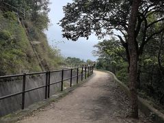 -狮子山郊野公园