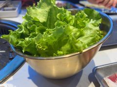 -杨记齐齐哈尔烤肉(总店)