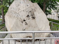 -中国地质博物馆