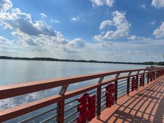 -丁香湖公园