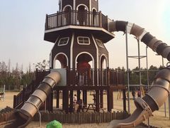 -上海长兴岛郊野公园