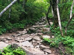 -秦岭风景区