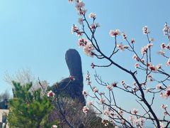 -磬锤峰森林公园