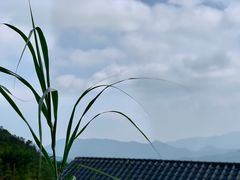 -军营村