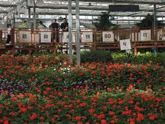 -南和农业嘉年华