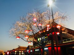 -大雁塔北广场音乐喷泉