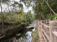 -广州市石门国家森林公园