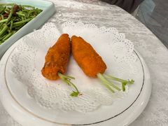 -丁老爷子苏香圆