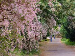 -国家植物园南园