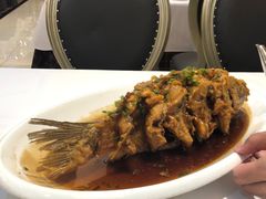 -金春禧(英雄山路旗舰店)