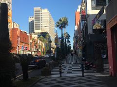 -宝健路步行街(Pedestrian Shopping Street)