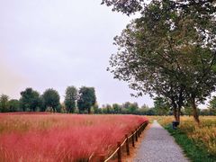 -汉长安城未央宫国家考古遗址公园