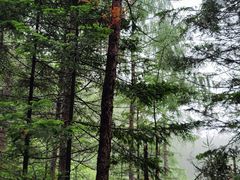 -峡谷浮石林景区