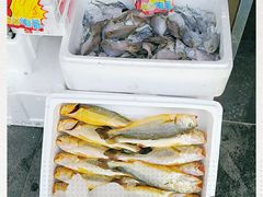 -必点海鲜·鲅鱼水饺(鞍山西道店)