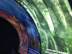 -房山世界地质公园博物馆