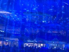 -成都浩海立方海洋公园