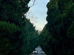 -八大关景区