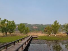 -长广溪湿地公园